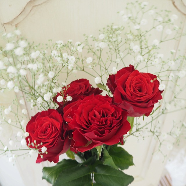 プロポーズの翌日の赤いバラ