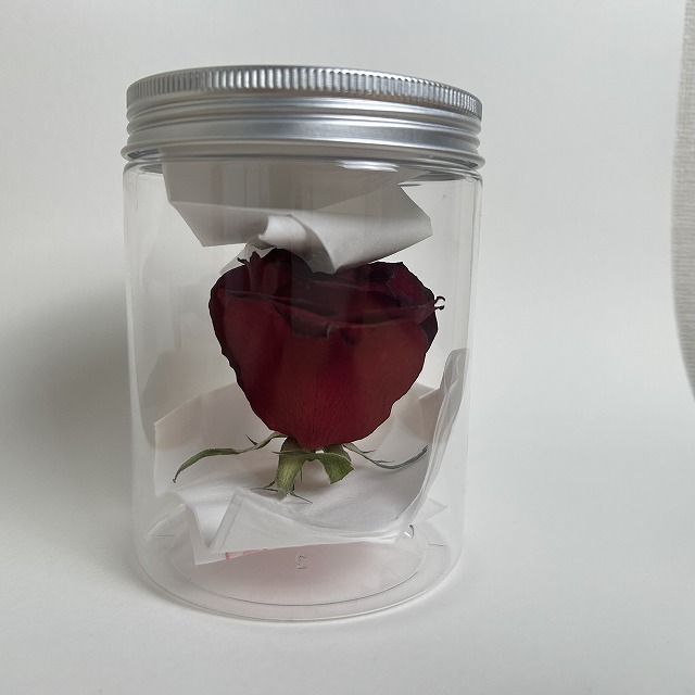シリカゲルとティッシュを入れたプラスチック容器に、バラのドライフラワーを入れて密閉し、光・湿気・空気・ほこりを遮断する保存方法の写真