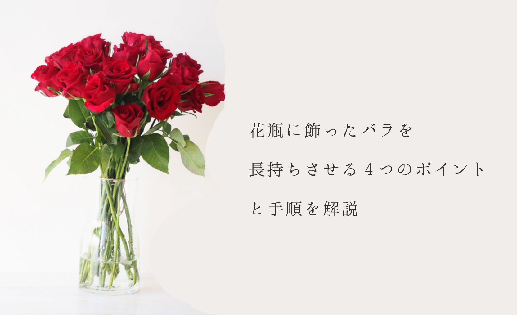 バラの花束を花瓶に飾り長持ちさせる4つのポイントと手順を解説