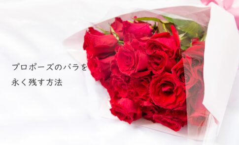 プロポーズのバラを永く綺麗に残す4つの保存方法の解説記事のサムネイル。赤いバラの花束が写っている画像
