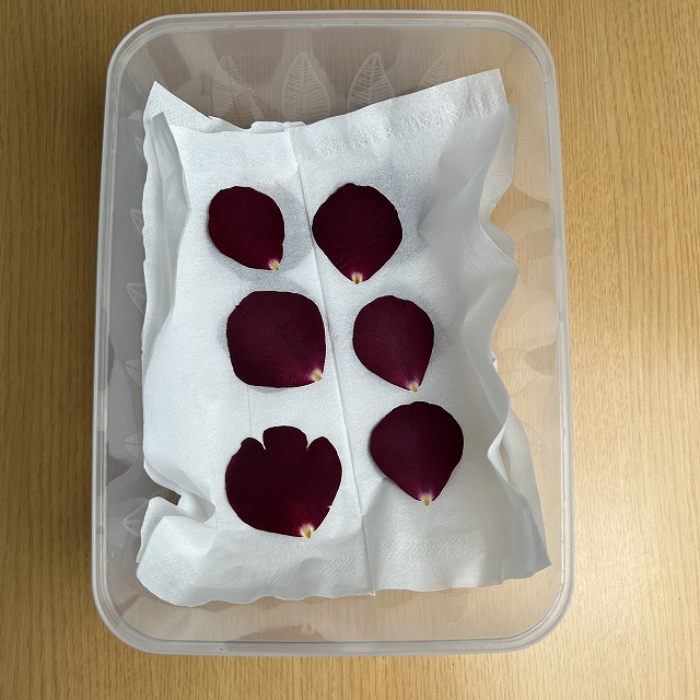 プロポーズのバラの花びらをシリカゲルにいりのタッパに保管する